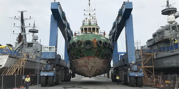 Norship Survey Dockings